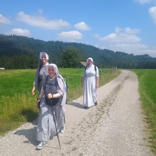 Foto 25 von 44