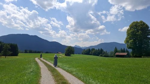 Foto 39 von 44