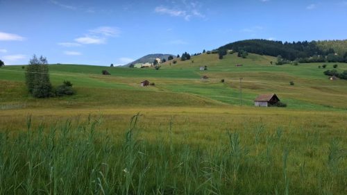 Foto 37 von 44