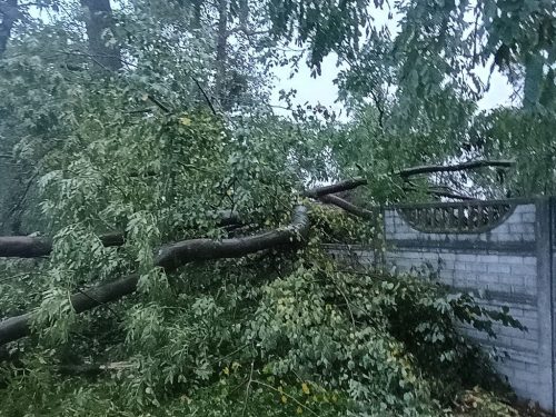 Foto 3 von 28