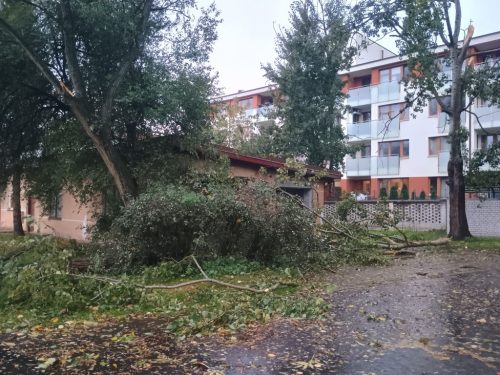 Foto 6 von 28