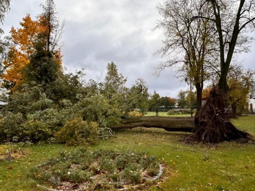 Foto 18 von 28