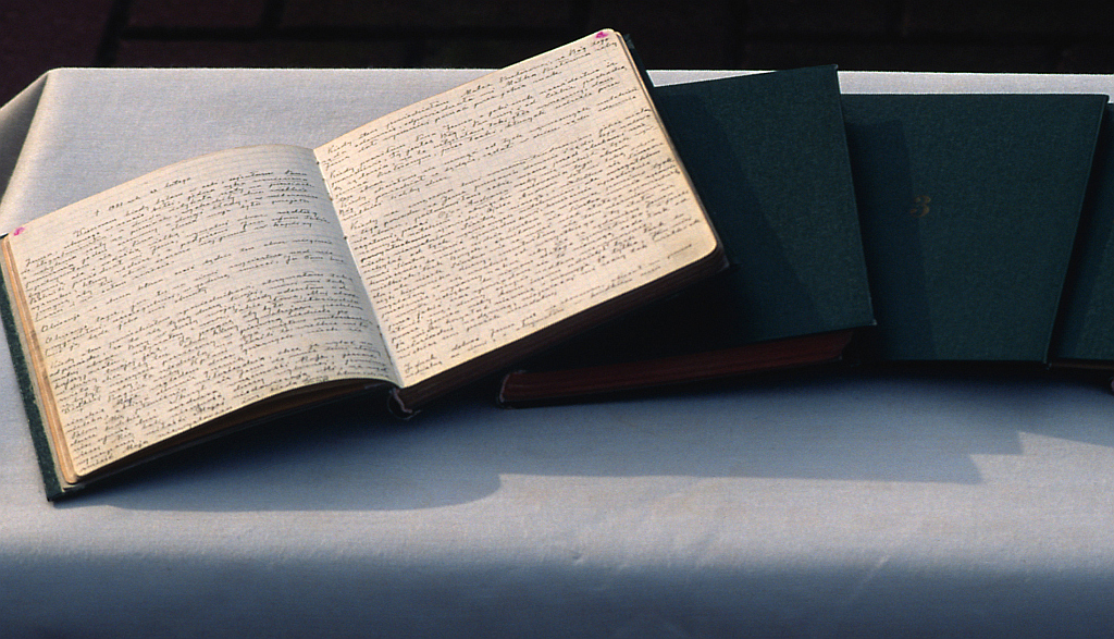 Das Tagebuch